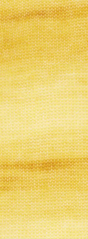 Silkhair Haze Dégradé - 1111